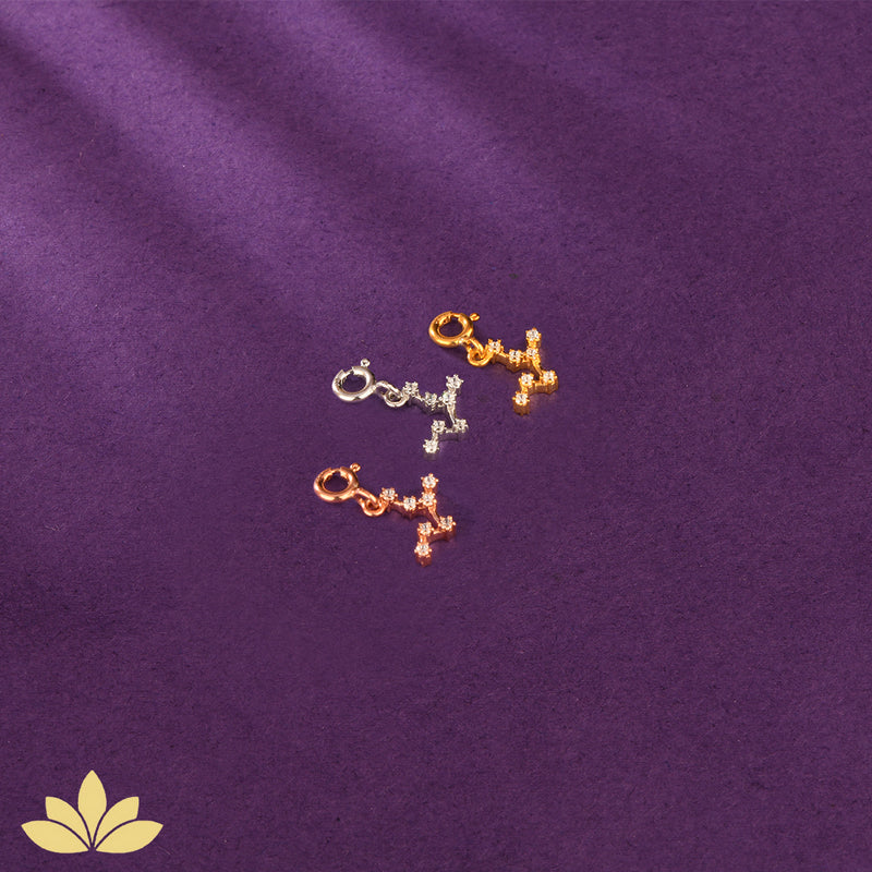 Constellation Charms